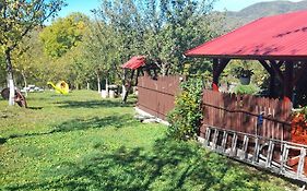 Casa linistita Ilie